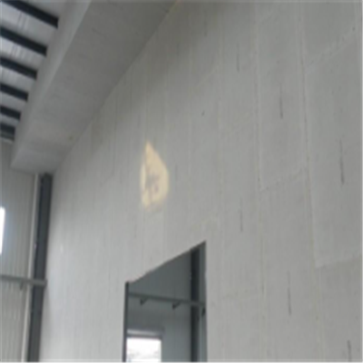 安溪宁波ALC板|EPS加气板隔墙与混凝土整浇联接的实验研讨